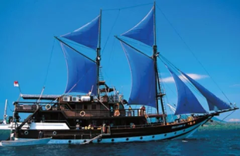 ACTIVITÉ Sea Cruising / Sailing indonesiatravels_seasafari