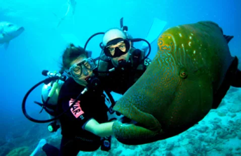 ACTIVITÉ Scuba Diving scubadiving_indonesiatravels